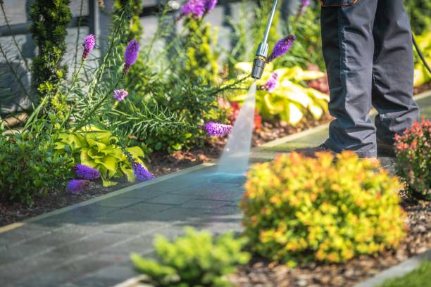 Best Fence Cleaning  in Auburn, MI