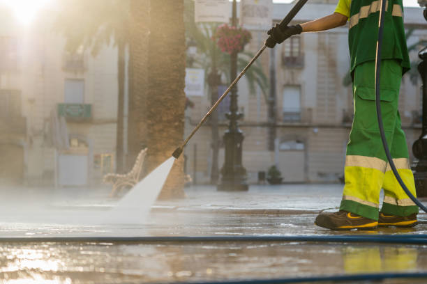 Best Roof Washing  in Auburn, MI